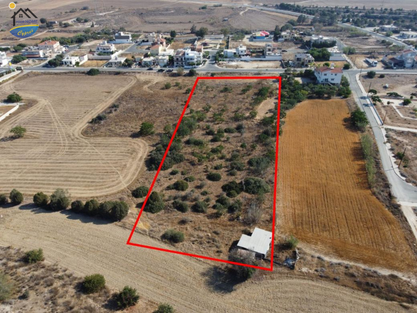 GG7363: Field in Ormideia, Larnaca