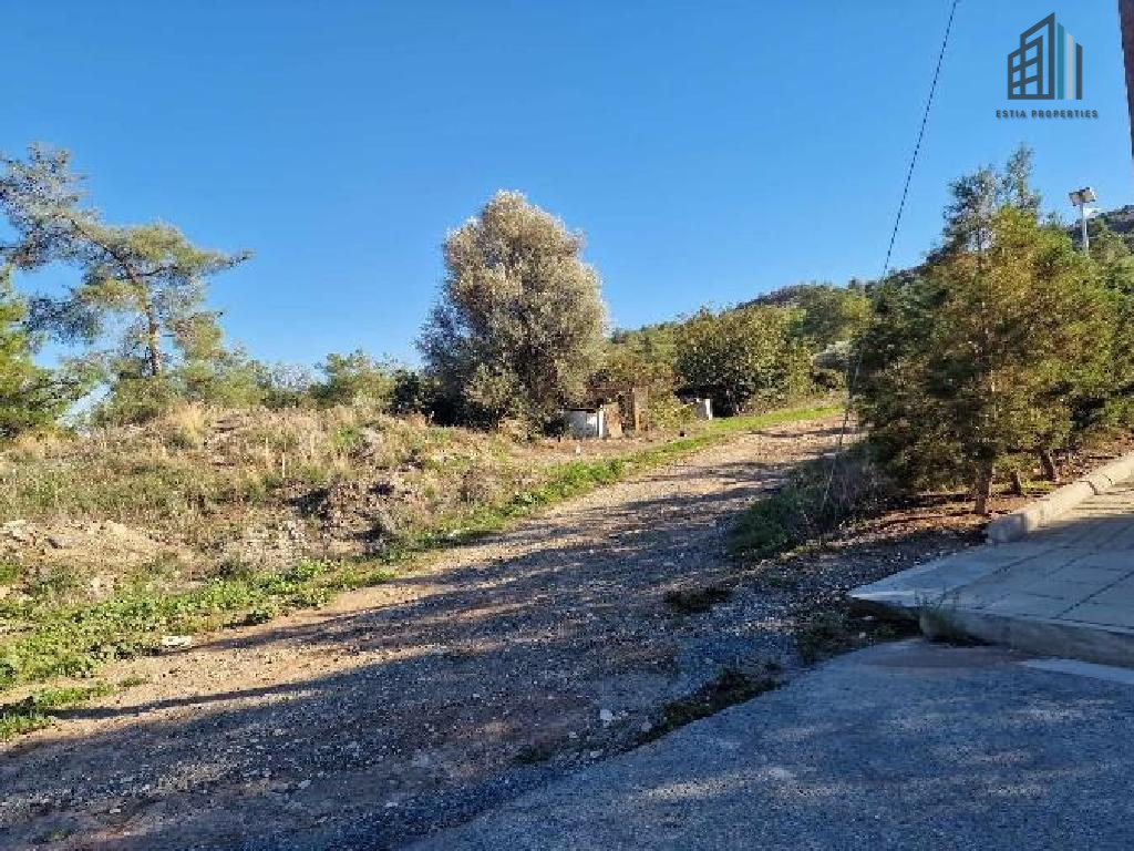 PR39491: Field (Share), Psevdas, Larnaca