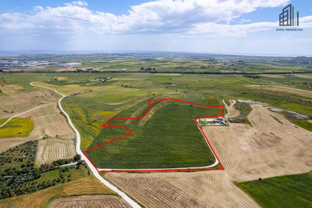 GG8216: Agricultural field in Kalo Chorio, Larnaca