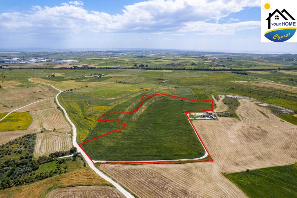 GG8216: Agricultural field in Kalo Chorio, Larnaca
